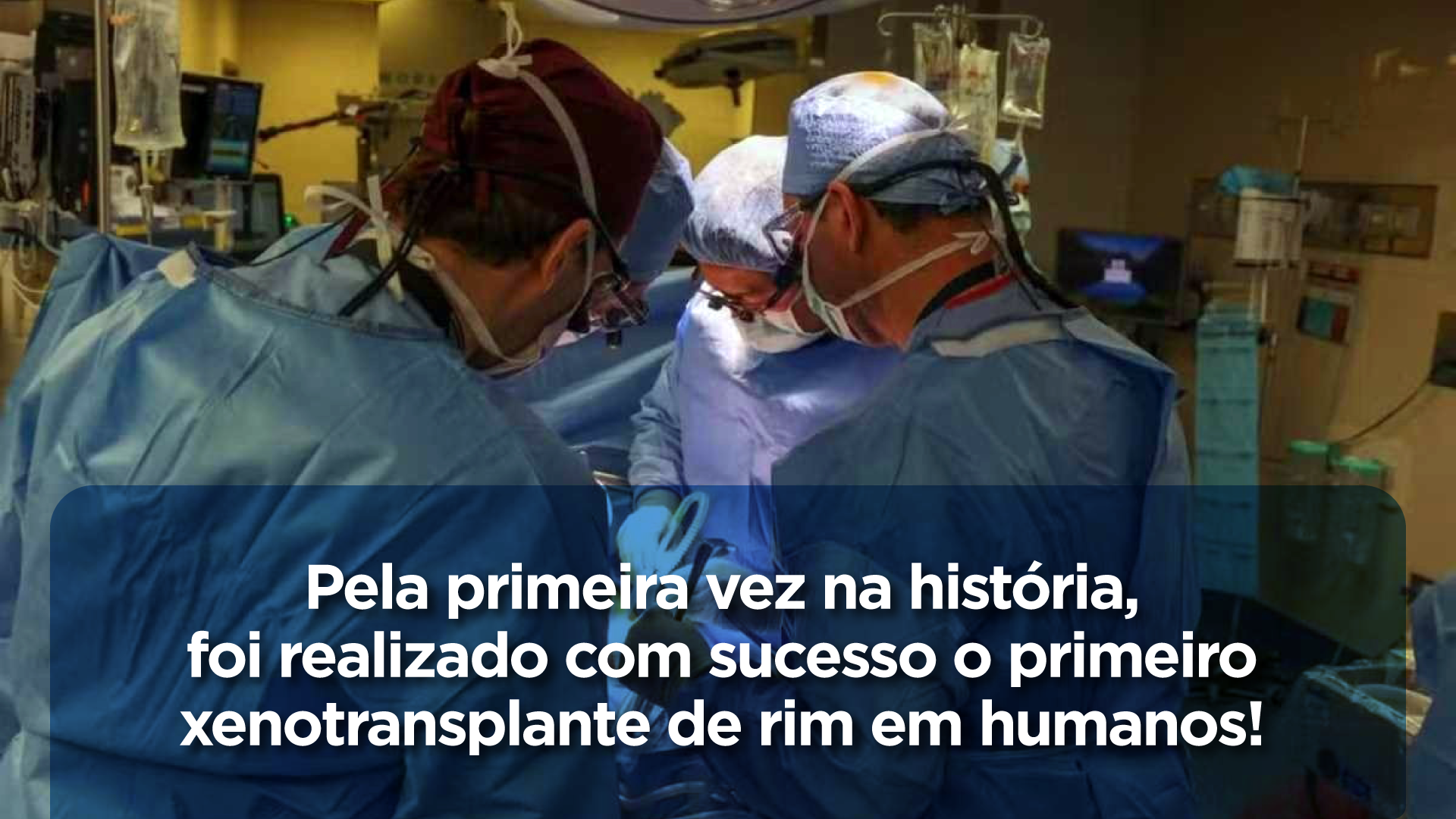 Quebrando Barreiras na Medicina: O Primeiro Xenotransplante de Rim em Humanos