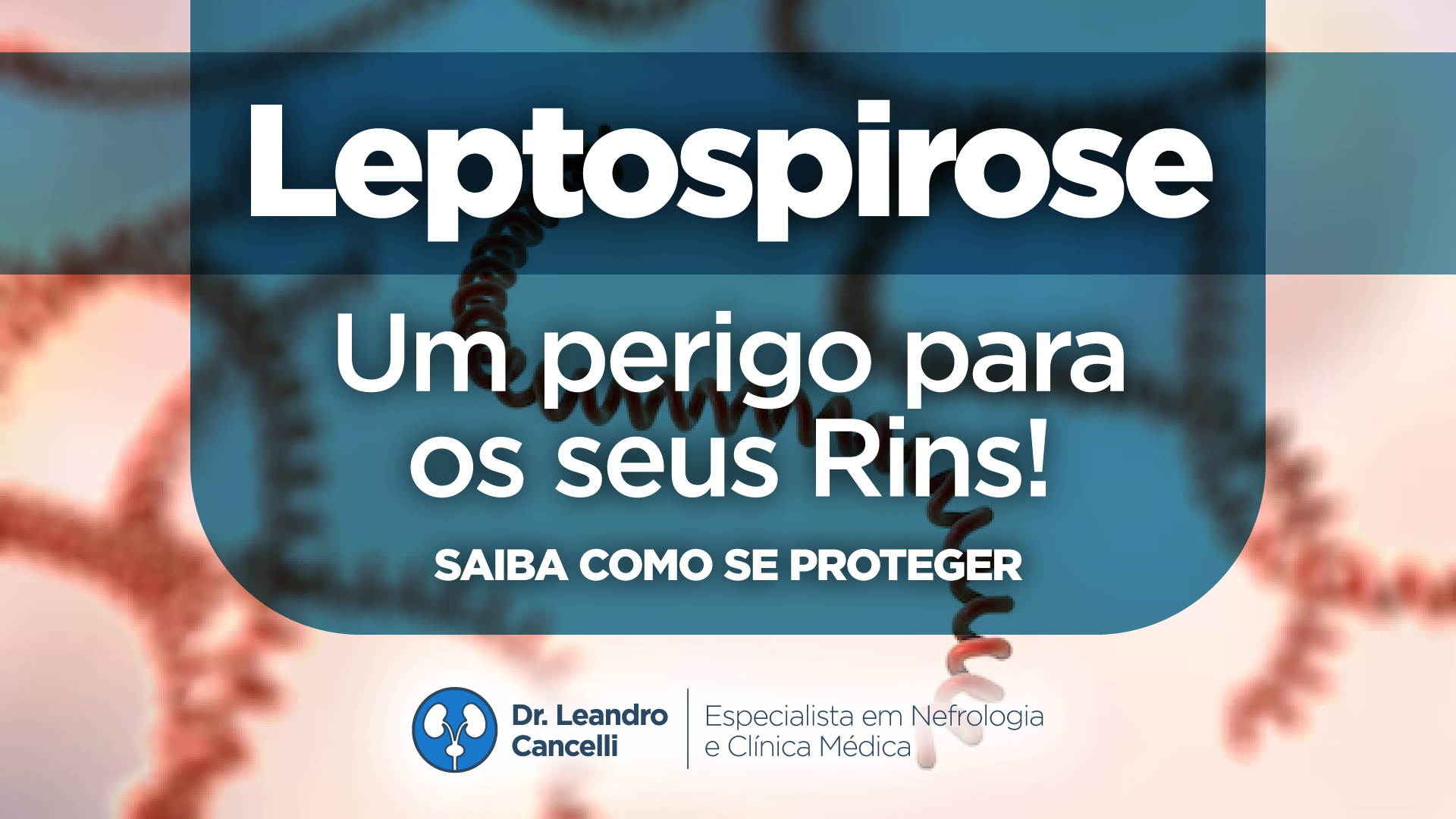Leptospirose: Um Perigo para os Seus Rins! Saiba Como se Proteger