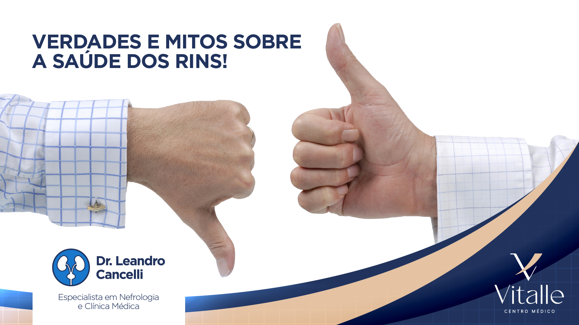 Verdades e mitos sobre a saúde dos rins: o que você precisa saber