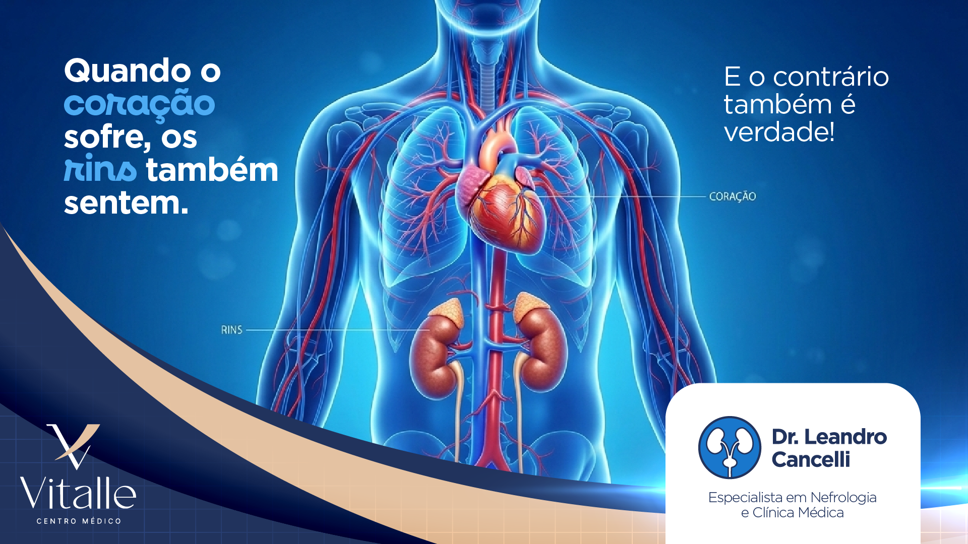Síndrome Cardio-Renal: por que coração e rins precisam ser tratados juntos?